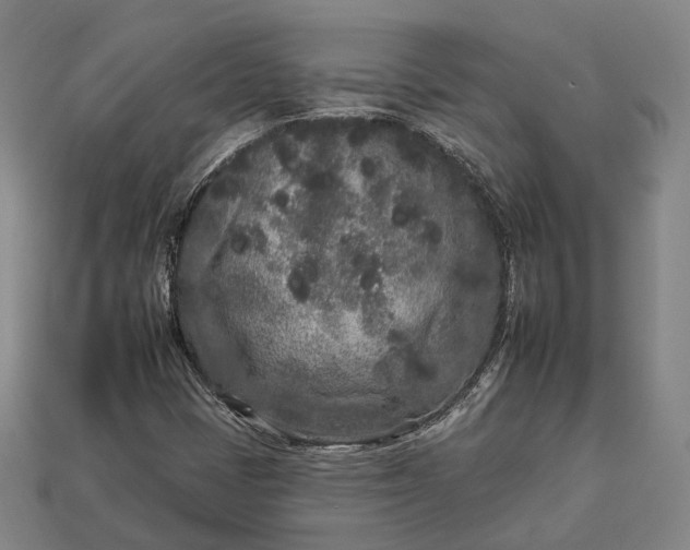 X0000112931401200909071024