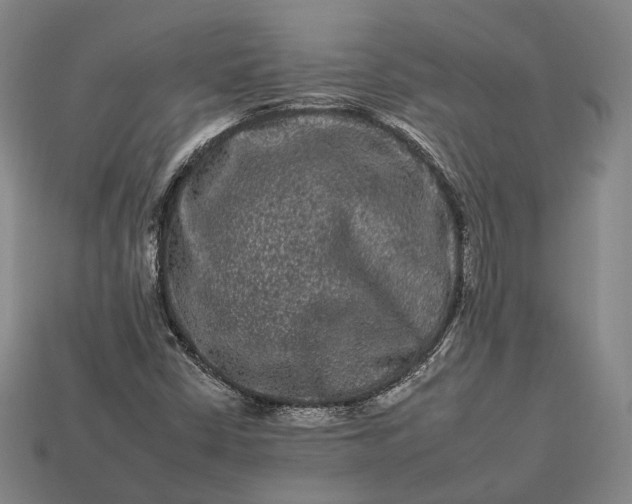 X0000112931402200909071024