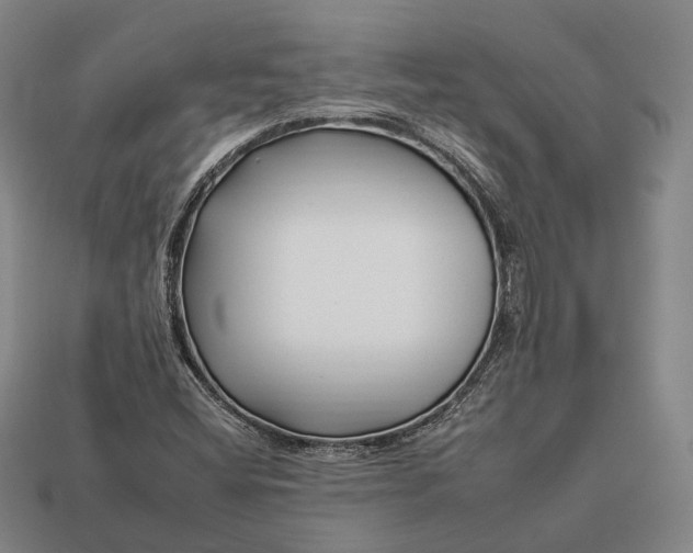 X0000112931404200909071024