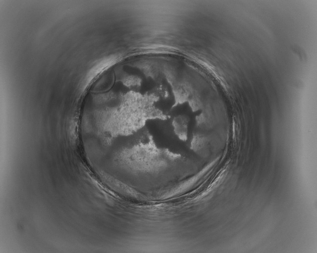 X0000112931405200909071024