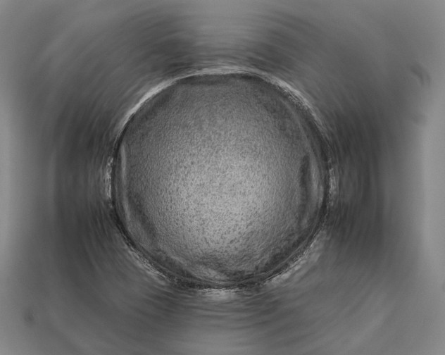 X0000112931409200909071024