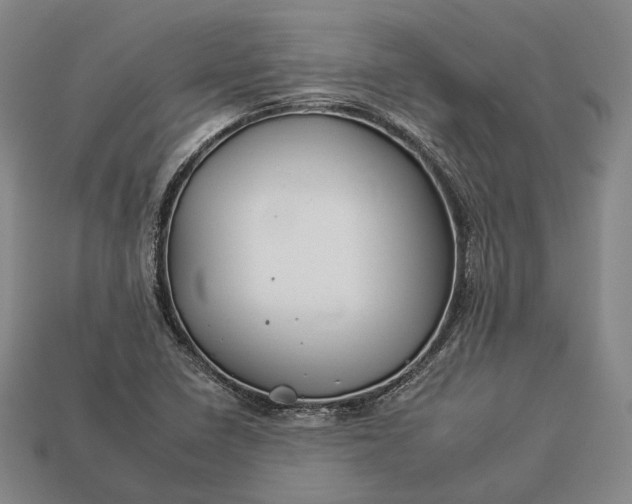 X0000112931410200909071024