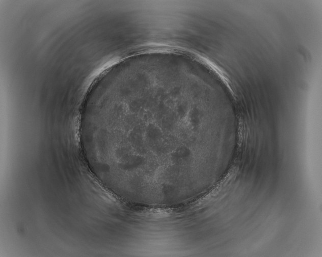 X0000112931411200909071024