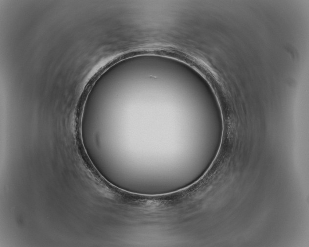 X0000112931412200909071024