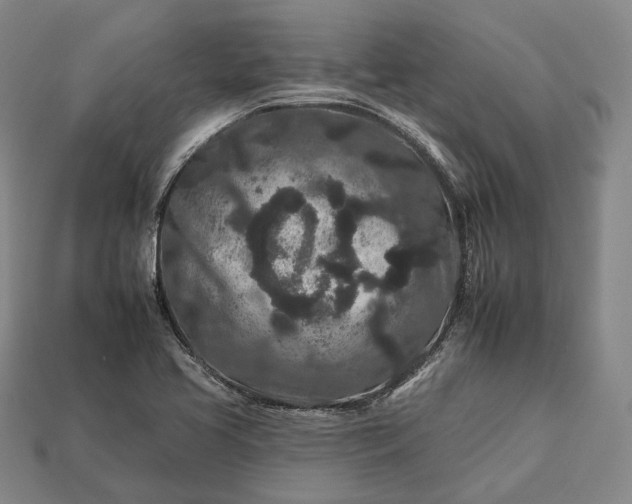 X0000112931413200909071024