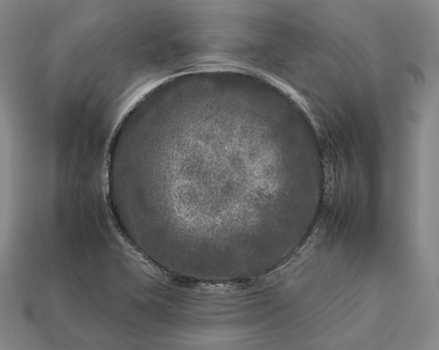 X0000112931415200909071024