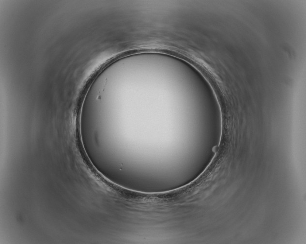 X0000112931416200909071024