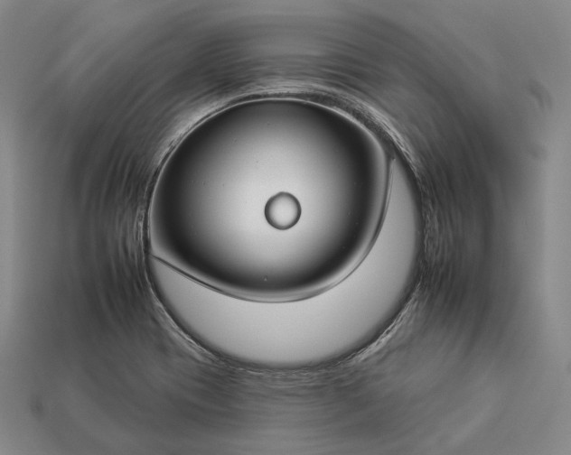 X0000112931417200909071024