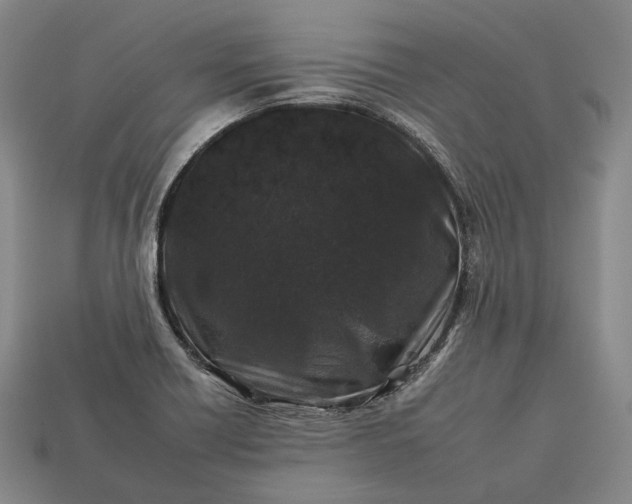 X0000112931418200909071024