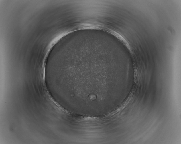 X0000112931419200909071024