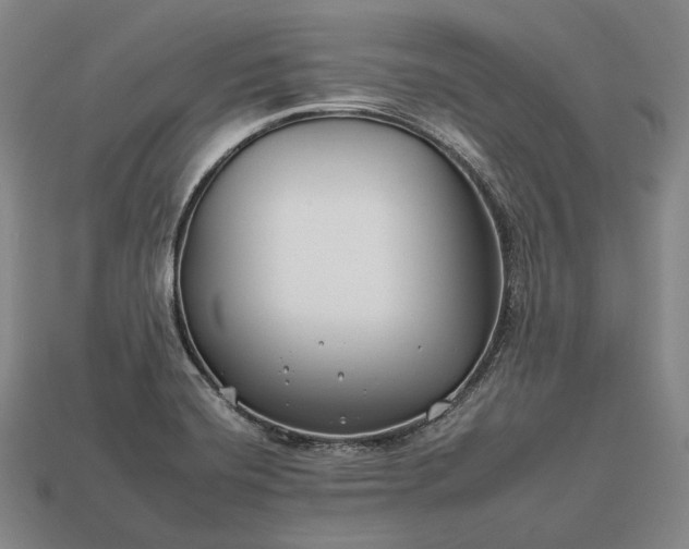 X0000112931420200909071024