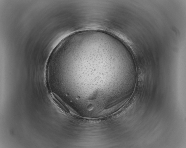 X0000112931423200909071024