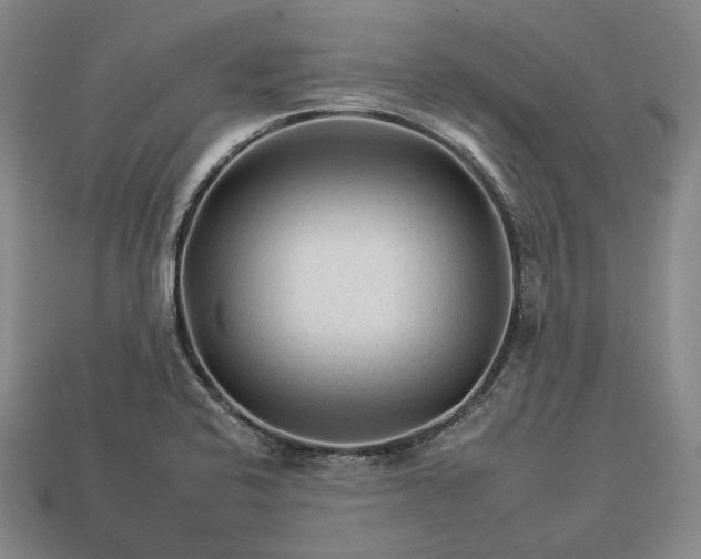 X0000112931424200909071024