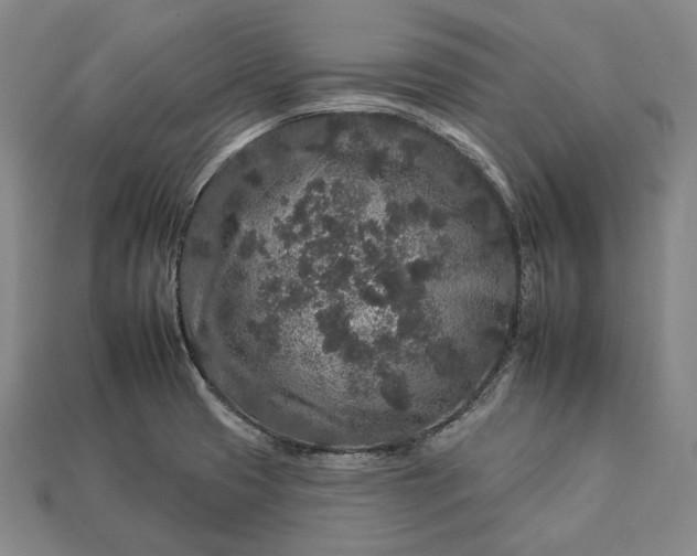 X0000112931425200909071024