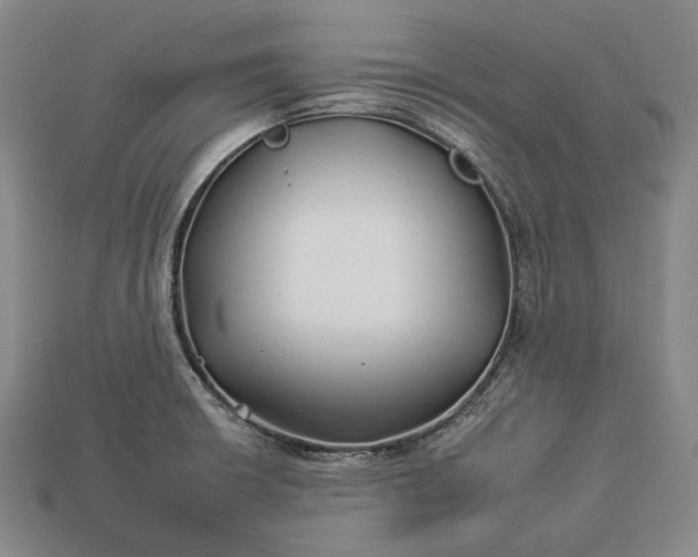 X0000112931426200909071024