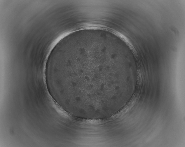 X0000112931427200909071024