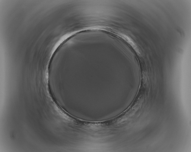 X0000112931428200909071024