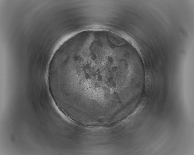 X0000112931429200909071024