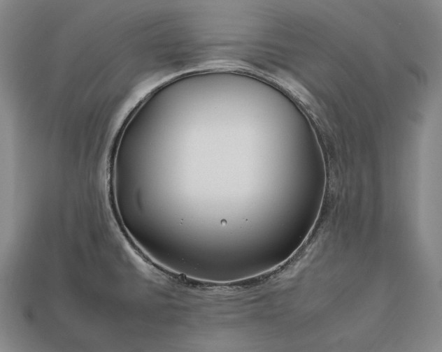 X0000112931430200909071024