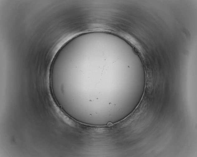 X0000112931431200909071024