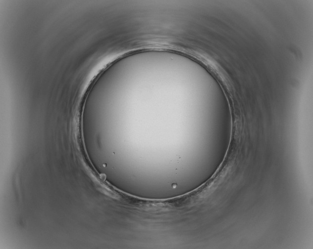 X0000112931432200909071024