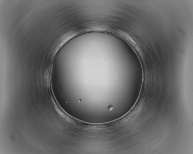 X0000112931433200909071024