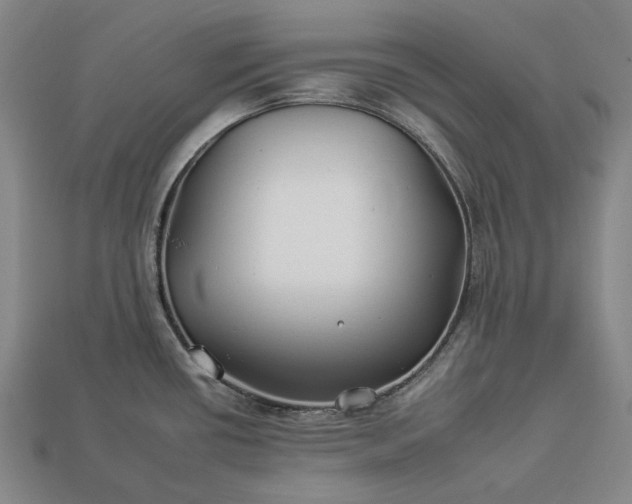 X0000112931434200909071024