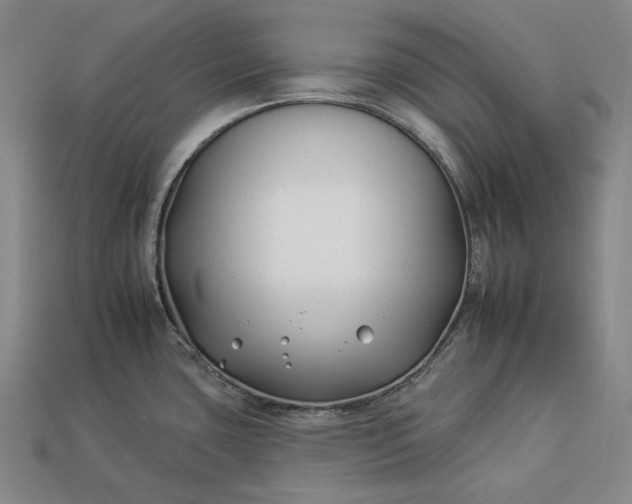 X0000112931435200909071024