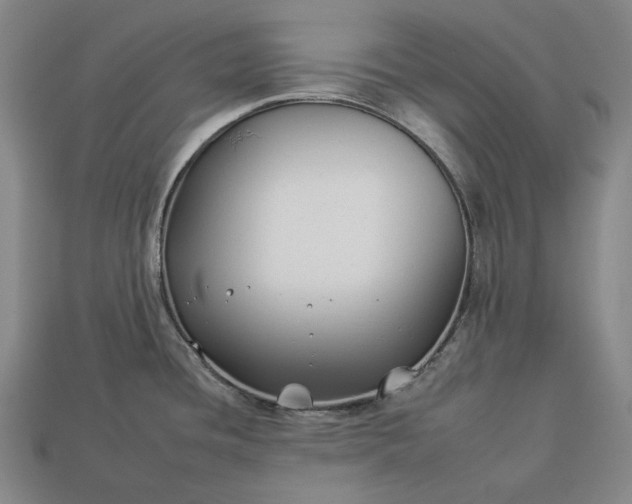 X0000112931436200909071024