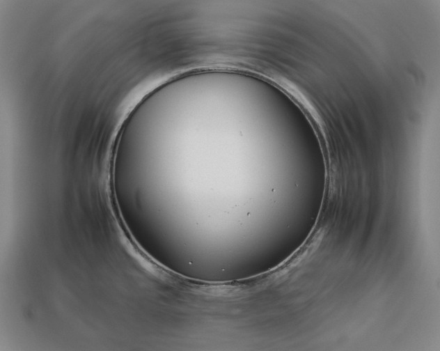 X0000112931437200909071024