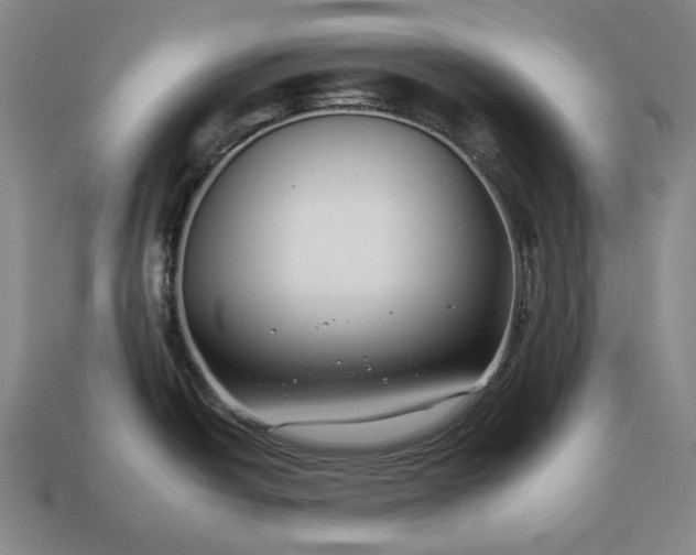 X0000112931438200909071024