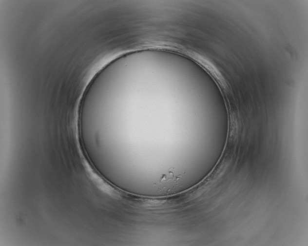 X0000112931439200909071024