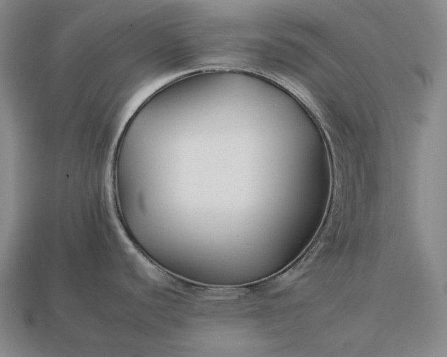 X0000112931440200909071024