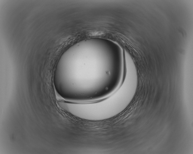 X0000112931441200909071024