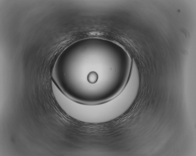 X0000112931444200909071024