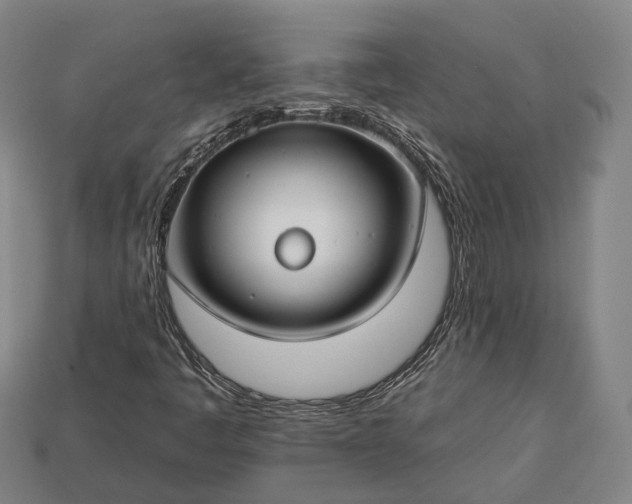 X0000112931445200909071024