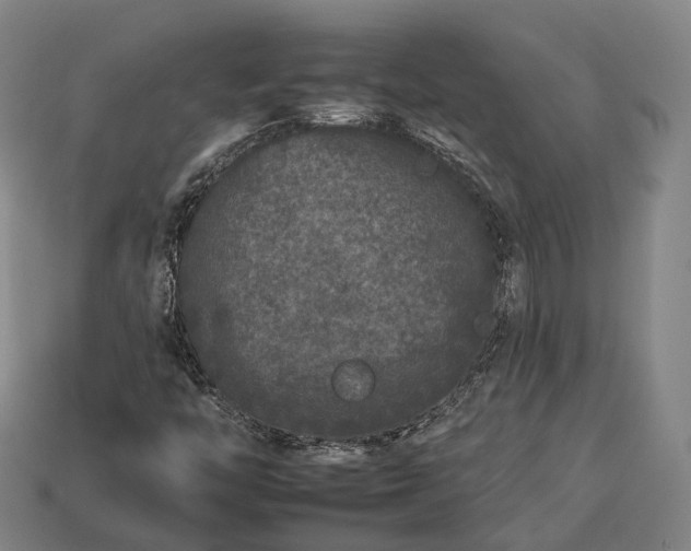 X0000112931446200909071024