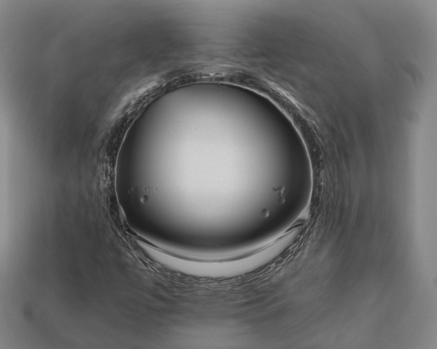 X0000112931447200909071024