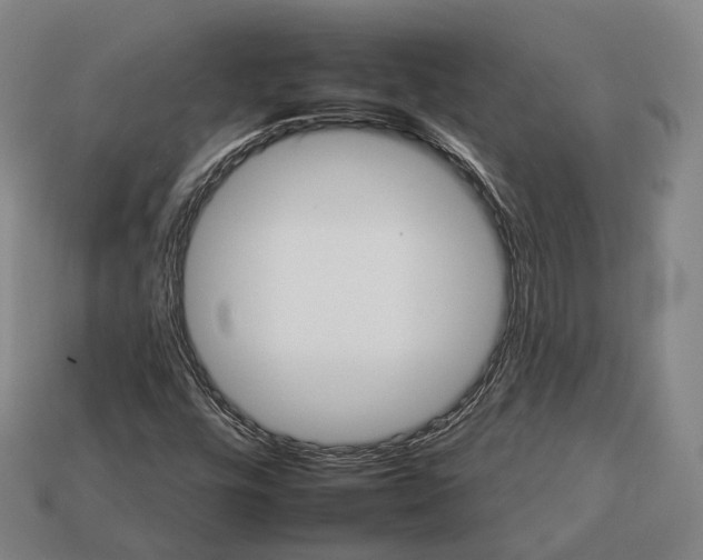 X0000112931448200909071023