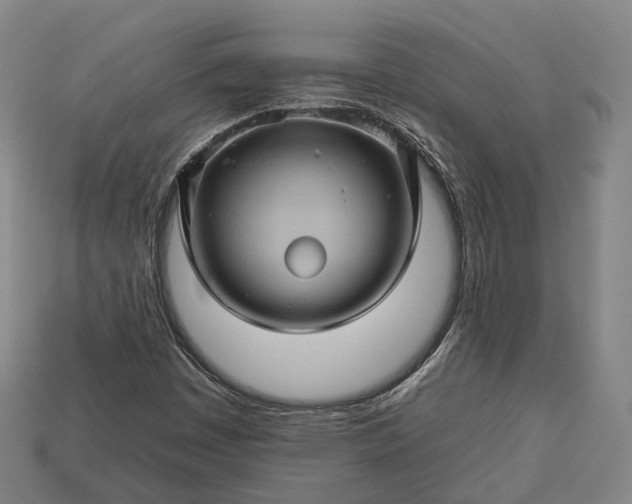 X0000112931449200909071023