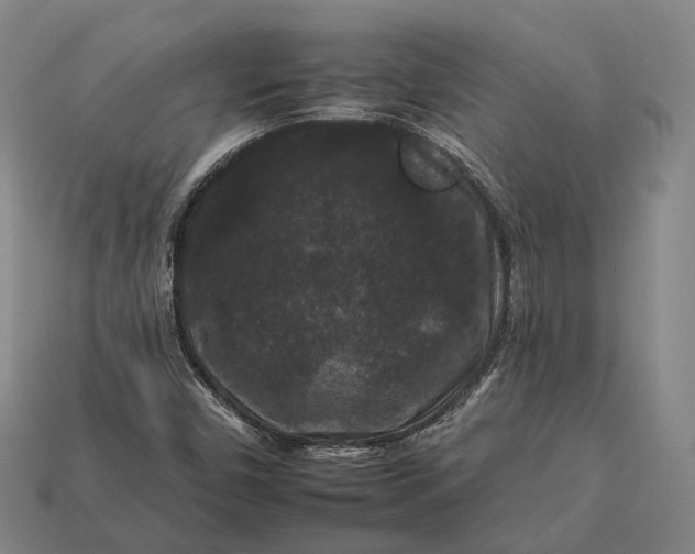 X0000112931450200909071023