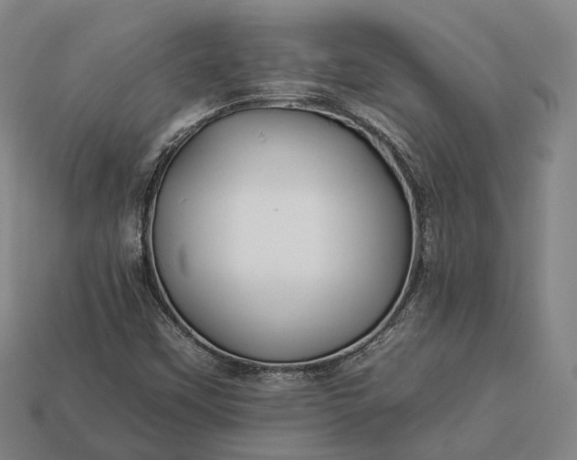 X0000112931451200909071023