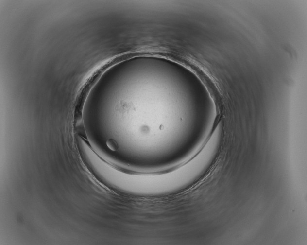 X0000112931452200909071023