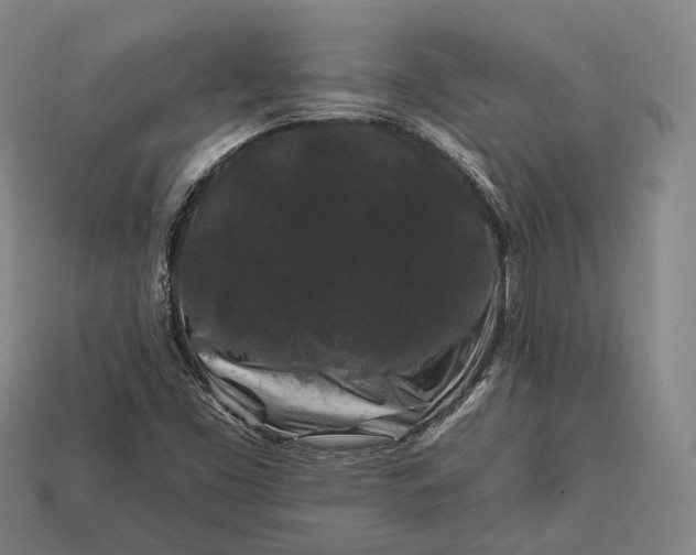 X0000112931453200909071023