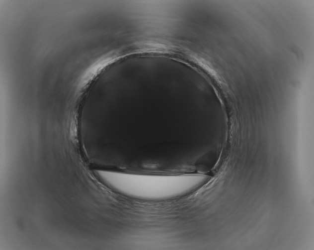 X0000112931455200909071023