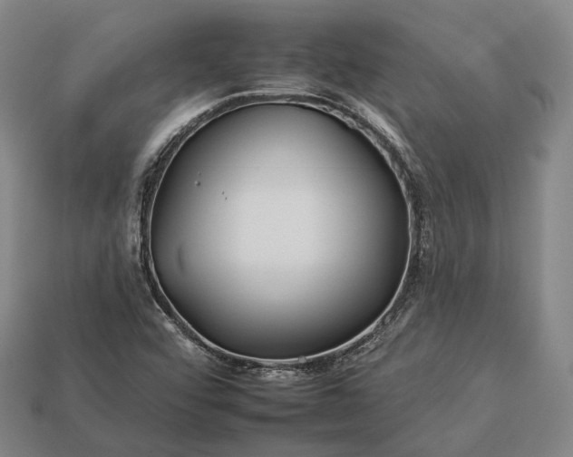 X0000112931456200909071023