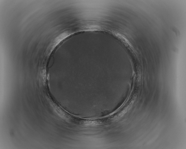 X0000112931457200909071023