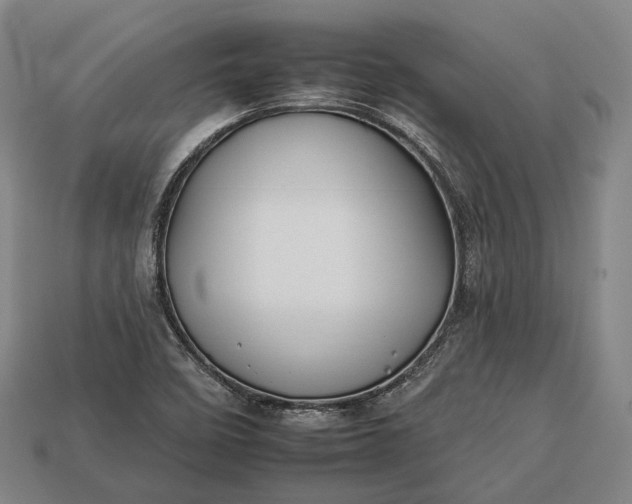 X0000112931458200909071023