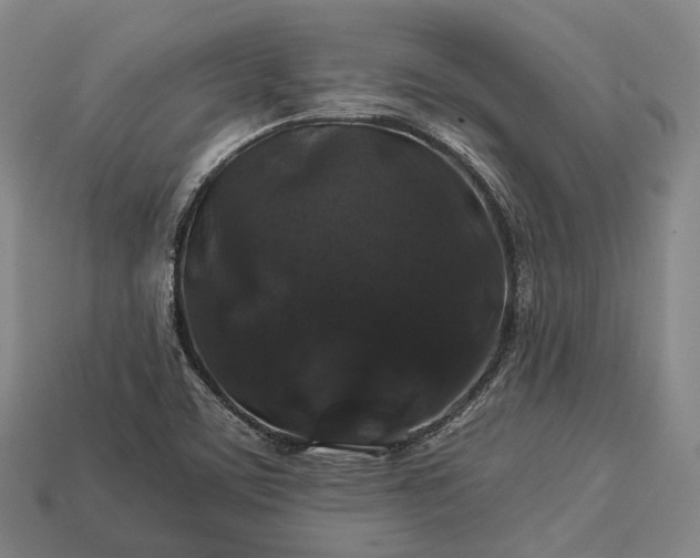 X0000112931459200909071023