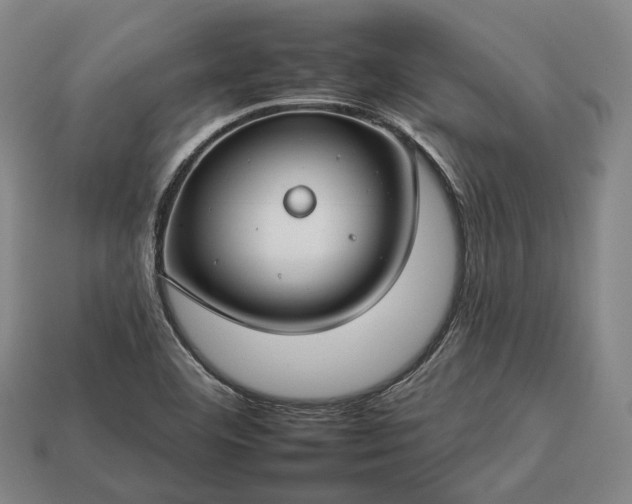 X0000112931460200909071023